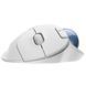 Мышь Logitech (910-006438) H00000344867 фото 3