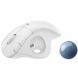 Мышь Logitech (910-006438) H00000344867 фото 4