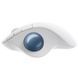 Мышь Logitech (910-006438) H00000344867 фото 2