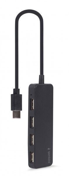 USB-хаб Gembird (UHB-CM-U2P4-01) H00000319183 фото