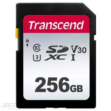 Карта памяти Transcend 300S SD 256ГБ (TS256GSDC300S) H00000038390 фото