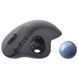 Мышь Logitech (910-006221) H00000344866 фото 4