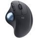 Мышь Logitech (910-006221) H00000344866 фото 1