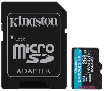 Карта пам'яті Kingston (SDCG4/256GB) H00000497146 фото