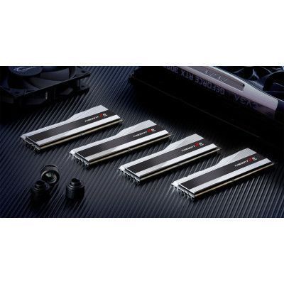 Оперативна пам'ять G.Skill (F5-7600J3646G16GX2-TZ5RS) H00000313366 фото