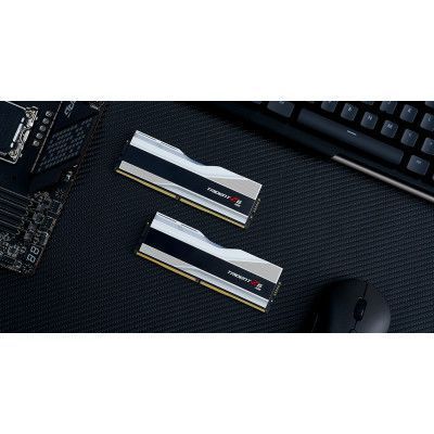 Оперативна пам'ять G.Skill (F5-7600J3646G16GX2-TZ5RS) H00000313366 фото
