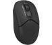 Мышь A4Tech беспроводная (FG12 (Black)) H00000075712 фото 1