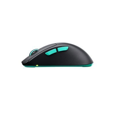 Миша Xtrfy (CX-M64W-BLACK) H00000457339 фото