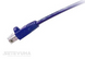 Патч корд Molex UTP Cat. 6 2 м LSZH Синій (PCD-02003-0H) H00000026152 фото