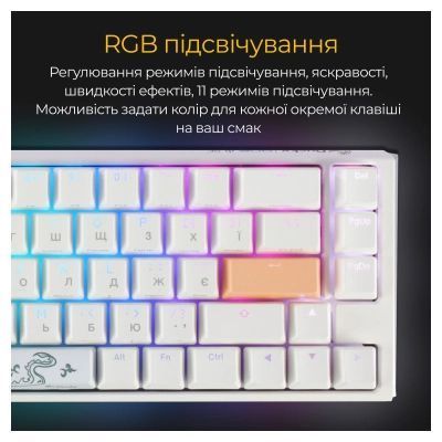 Клавиатура Ducky (DKON2167ST-BUAPXPWWWSC1) H00000497708 фото