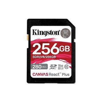 Карта пам'яті Kingston (SDR2V6/256GB) H00000426916 фото