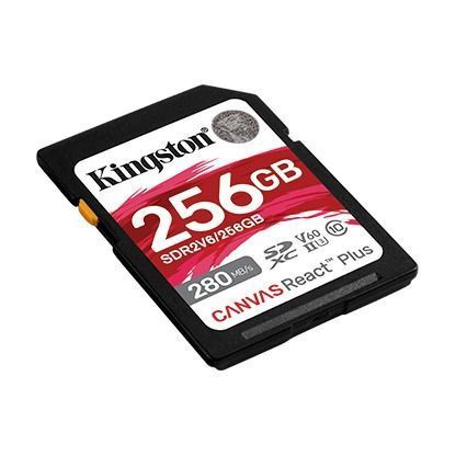 Карта памяти Kingston (SDR2V6/256GB) H00000426916 фото