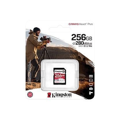 Карта памяти Kingston (SDR2V6/256GB) H00000426916 фото