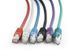 Патч корд Cablexpert S/FTP Cat. 6a 0.25 м LSZH Синій (PP6A-LSZHCU-B-0.25M) H00000135394 фото 2