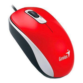 Мышь Genius DX-110 проводная (31010116104) H00000041625 фото