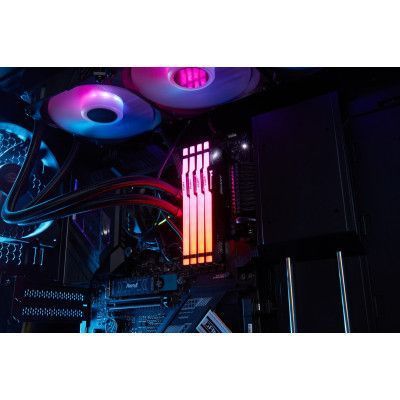 Оперативная память Kingston Fury Beast RGB DIMM DDR5 32ГБ (KF552C40BBA-32) H00000254718 фото