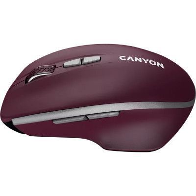 Миша Canyon (CNS-CMSW21BR) H00000491345 фото