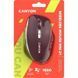 Миша Canyon (CNS-CMSW21BR) H00000491345 фото 6