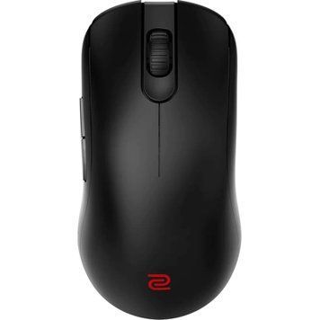 Мышь Zowie (9H.N4MBE.A2E) H00000457414 фото