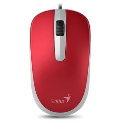 Мышь Genius DX-120 проводная (31010105104) H00000036212 фото