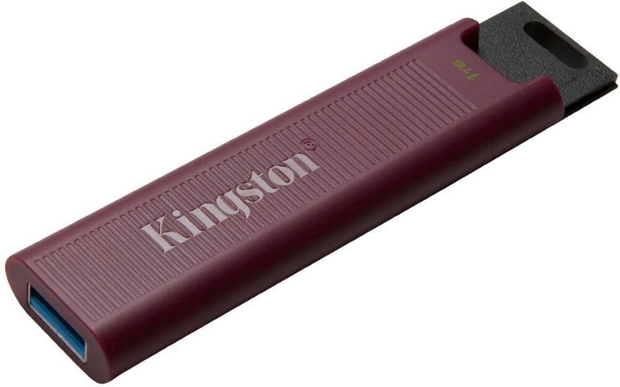 Флеш пам'ять USB Kingston DataTraveler Max (DTMAXA/1TB) H00000292064 фото