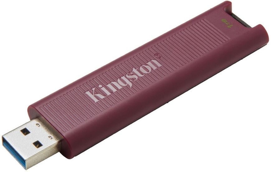 Флеш пам'ять USB Kingston DataTraveler Max (DTMAXA/1TB) H00000292064 фото