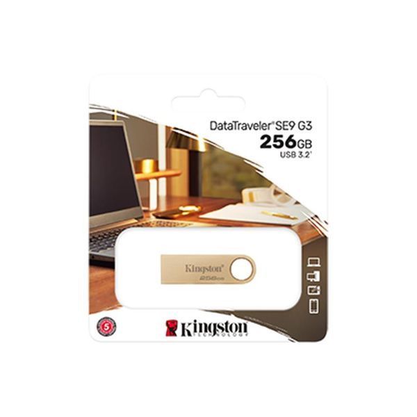 Флеш пам'ять USB Kingston (DTSE9G3/256GB) H00000420176 фото