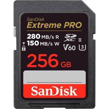 Карта памяти SanDisk (SDSDXEP-256G-GN4IN) H00000379220 фото
