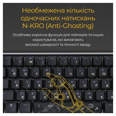 Клавиатура Ducky (DKON2161ST-SUAPXCLAWSC1) H00000457777 фото