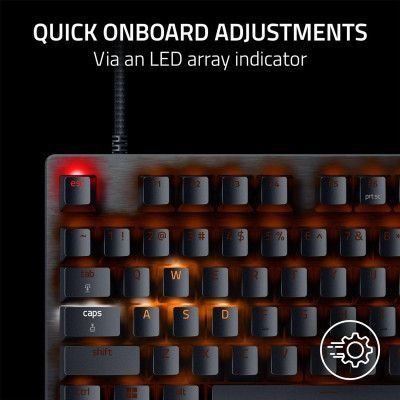 Клавіатура Razer (RZ03-04980100-R3M1) H00000457543 фото