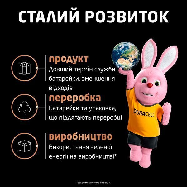 Батарейка Duracell (5015595) H00000392763 фото