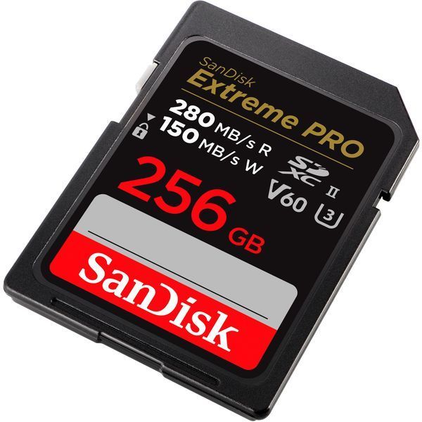 Карта пам'яті SanDisk (SDSDXEP-256G-GN4IN) H00000379220 фото