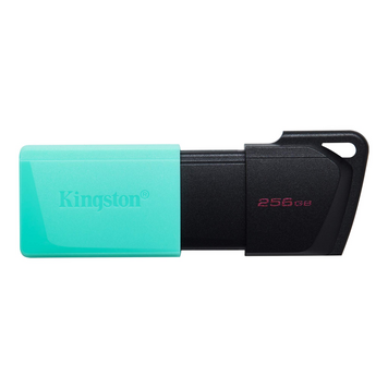 Флеш пам'ять USB Kingston DataTraveler Exodia M 256ГБ USB 3.2 (DTXM/256GB) H00000230791 фото
