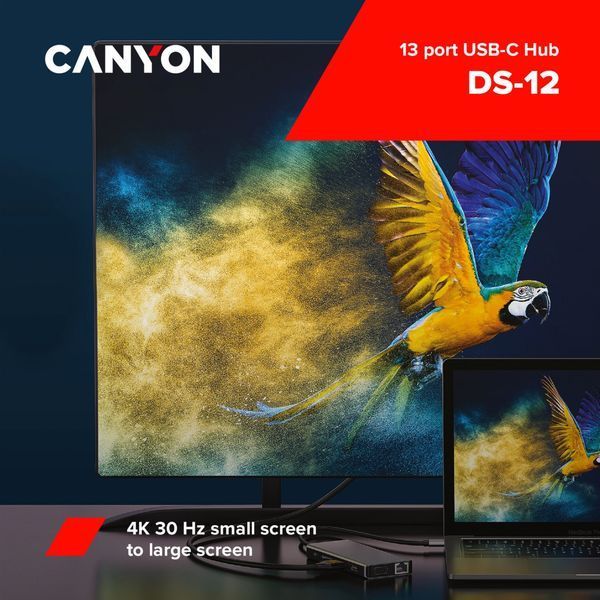 USB-хаб Canyon (CNS-TDS12) H00000222046 фото