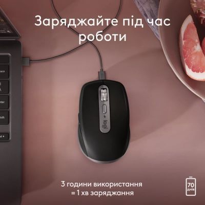 Мышь Logitech (910-006947) H00000457053 фото