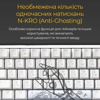 Клавиатура Ducky (DKON2167ST-RUAPXPWWWSC1) H00000457605 фото