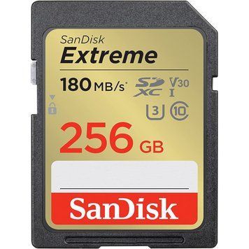 Карта памяти SanDisk (SDSDXVV-256G-GNCIN) H00000313201 фото