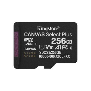 Карта памяти Kingston (SDCS3/256GBSP) H00000486523 фото