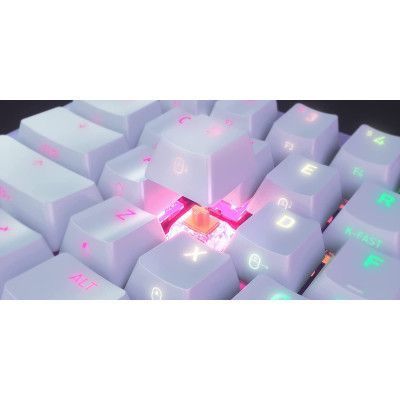 Клавиатура Cherry Xtrfy (K5-RGB-CPT-TPWHITE-R-UKR) H00000457676 фото