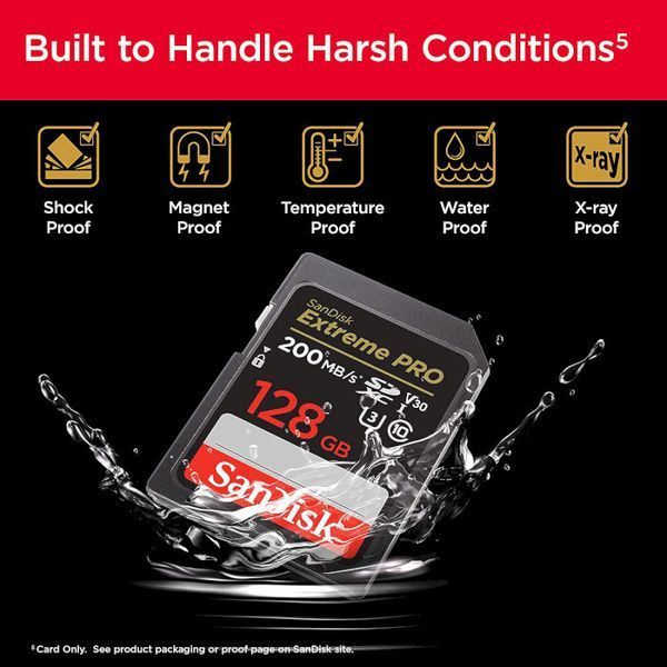 Карта памяти SanDisk (SDSDXXD-128G-GN4IN) H00000313202 фото
