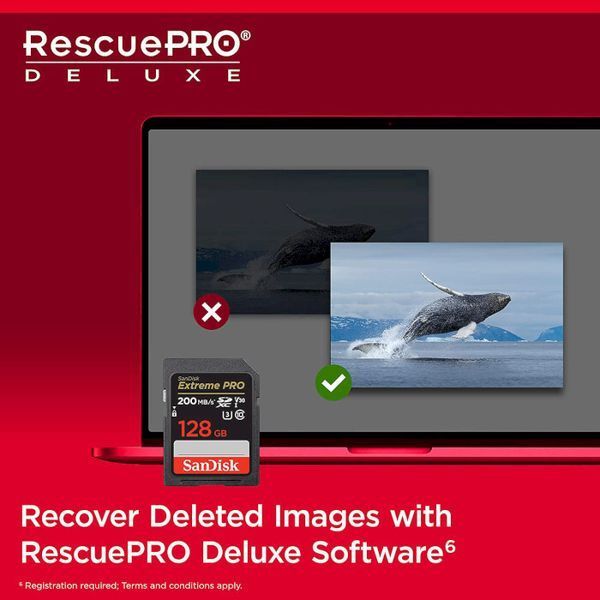 Карта памяти SanDisk (SDSDXXD-128G-GN4IN) H00000313202 фото