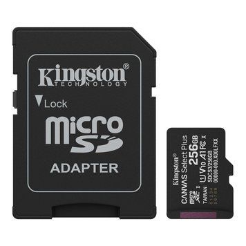 Карта памяти Kingston (SDCS3/256GB) H00000486528 фото
