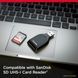 Карта памяти SanDisk (SDSDUNB-064G-GN6IN) H00000313604 фото 2