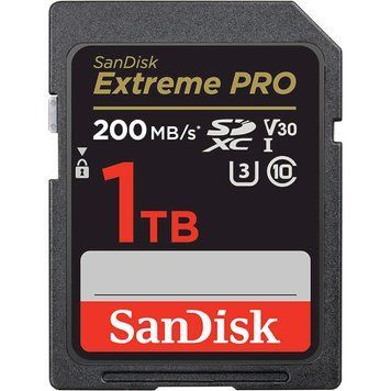 Карта памяти SanDisk (SDSDXXD-1T00-GN4IN) H00000313316 фото