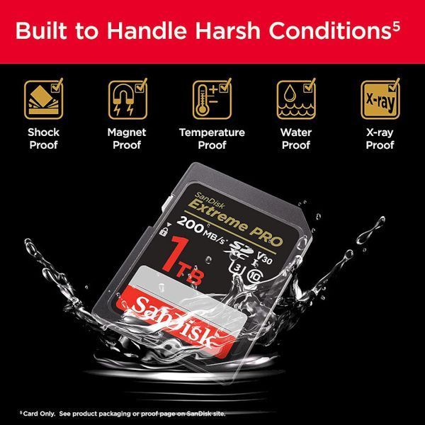 Карта пам'яті SanDisk (SDSDXXD-1T00-GN4IN) H00000313316 фото