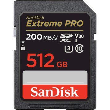 Карта памяти SanDisk (SDSDXXD-512G-GN4IN) H00000313317 фото