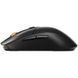 Миша SteelSeries (62523) H00000500231 фото 3