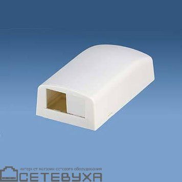 Розетка Panduit (CBX2AW-AY) H00000026750 фото