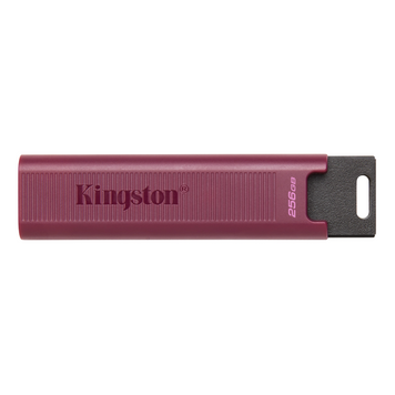 Флеш пам'ять USB Kingston DataTraveler Max 256ГБ USB 3.2 (DTMAXA/256GB) H00000257613 фото