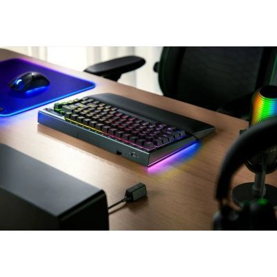 Клавиатура Razer (RZ03-05130300-R3E1) H00000457579 фото